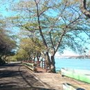 충렬사 앞 화장실 이미지