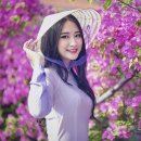 가장 쉬운 독학 베트남어 현지회화 이미지
