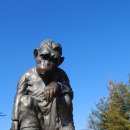 성호공원_식물원주변 이미지