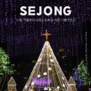 12월 겨울축제 세종시빛축제 세종 이응다리 야경 가볼만한곳