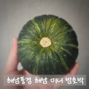 해남군밤호박 | 다이어트 식단관리에 딱! 해남 미니 밤호박 구매 후기