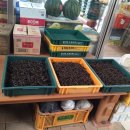 안성만물 이미지