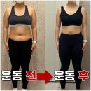다인핏 네이버블로그