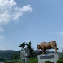 의성마늘 김동준 한우 이미지