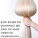 주헤어샾