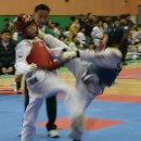 무림태권도장 이미지