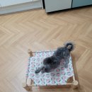 블리스버거&카페에버역점 이미지