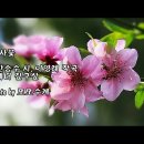 김구삼 Daum카페