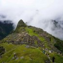 라이온 스크린골프 이미지