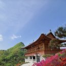 십일만에 찾아온 평화 …, 이미지