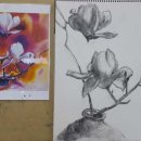 서양화 기초 이미지