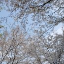 원신근린공원 이미지