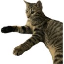 쥬청과 여수죽림점 | 24.10 수 일상 (1)