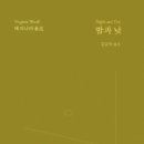 밤이 낮이 된다는 것 이미지