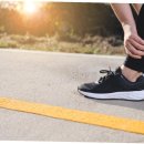 책 속의 여행 이미지