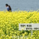 으뜸농원 네이버블로그