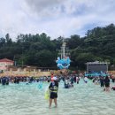 힐스테이트 입구 버스 정류장 이미지