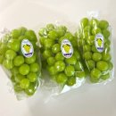 퍼털그라운드 | 아이간식 추천 ㅣ프리미엄 고당도 샤인머스캣 퍼털그라운드 구매후기