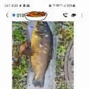 신원대로-9 이미지