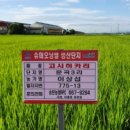 고덕면010 이미지