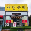새말반점