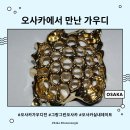 오사카 그랑그린 VS 가우디전 관람 후기 : 스페인 항공권 결제하게 만든 3가지 이유 (+티켓 예매 꿀팁)