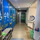 국가대표영웅태권도 이미지