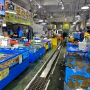 오이도전통수산시장3 | 시흥 오이도전통수산시장 생선회 포장 후기(기본 스끼다시 제공)