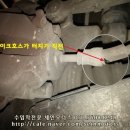 세인모터스 이미지