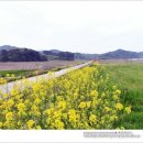 향-고향의 봄 이미지