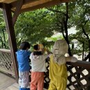 세움어린이집 놀이터 이미지