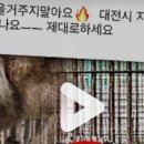 주정차 단속 - 055 이미지