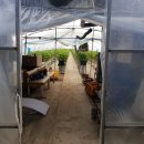 경석농장 이미지