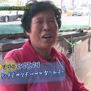 문어시대 Daum카페