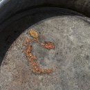 TM모터스 이미지