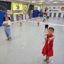 미르 태권도 이미지