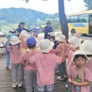 숲체험-심항산-곤충아 반가워(이서현.최민아.안소윤.한이안.이예찬.이서인.안시우.장원준.김지호.김우림) 이미지