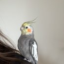 아스라이 이미지