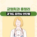선단보건지소 | 경기도 포천시 선단동 교정치과 총정리