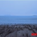 자연으로부터-사유 뉴시스