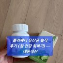 건강100세약국 | 폴리페디 유산균 솔직 후기 (장 건강 회복기) — 내돈내산