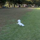 삼탄슈퍼 이미지