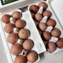 청미래 농장 이미지