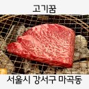 마곡최고급소고기 고기꿈 한우 살치살 마블링이 예술이야