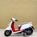 욜로모터스 이미지