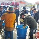 진도군농기계임대사업소(서부) 이미지