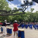 트로트 효 콘서트 이미지