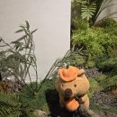 트라이브 | 홍대 수플레 맛집 트라이브 내돈내산 후기 | 믹스베리 수플레 &amp; 말차 수플레 먹어본 솔직 후기