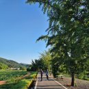 장현1리 이미지