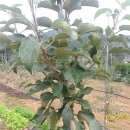 즉연농장 이미지